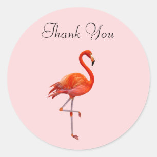 Adesivo Redondo Flamingo Rosa em Obrigado Rosa