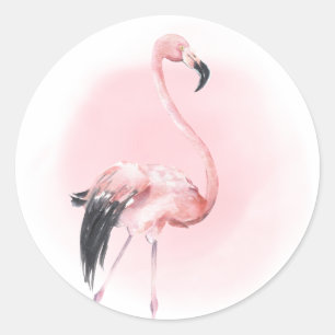Adesivo Redondo Flamingo Rosa Tropical