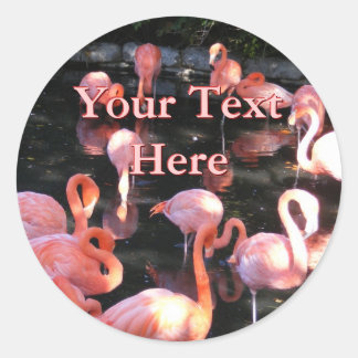 Adesivo Redondo Flamingo Stickers