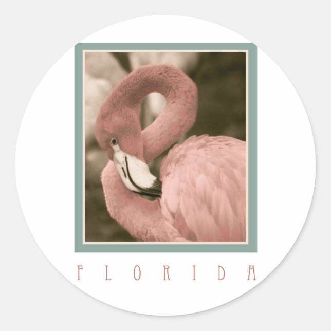 Adesivo Redondo Flamingos (Frente)