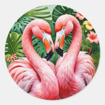flamingos colos cor-de-rosa amor tropical flamingo