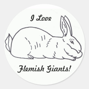 Adesivo Redondo Flemist Giant Rabbit Sticker