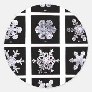 Adesivo Redondo Flocos de neve de Wilson Bentley