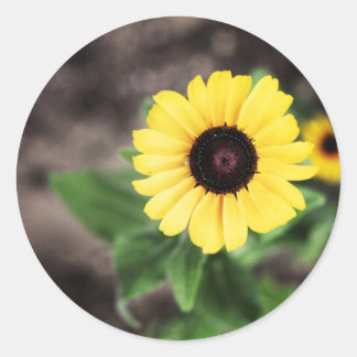 Adesivo Redondo Flor 1