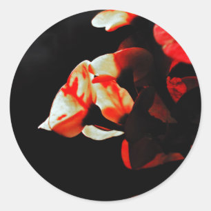Adesivo Redondo Flor alaranjada do cacto