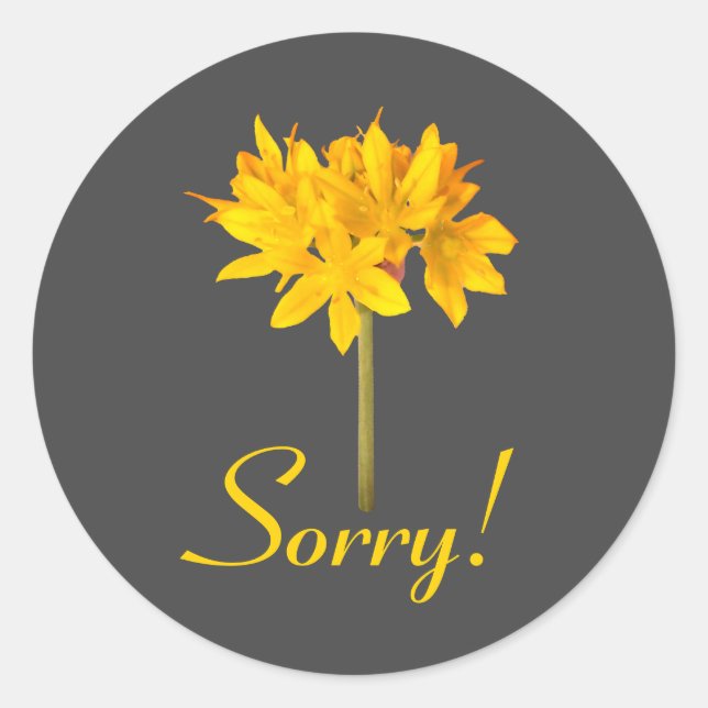 Adesivo Redondo Flor Amarelo Desculpe (Frente)