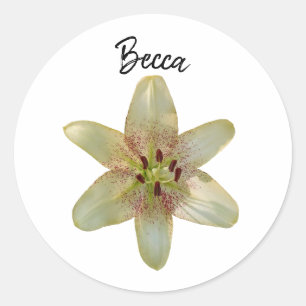 Adesivo Redondo Flor Amarelo Espetado com Flor Personalizado