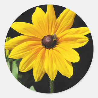 Adesivo Redondo Flor Amarelo Sunny