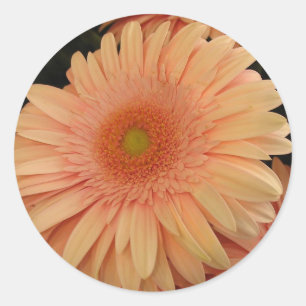 Adesivo Redondo Flor cor-de-rosa