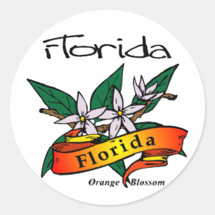 Adesivo Redondo Flor da laranja da flor de estado de Florida