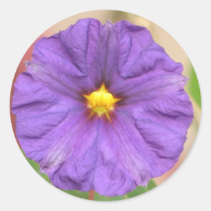 Adesivo Redondo Flor da veste de veludo