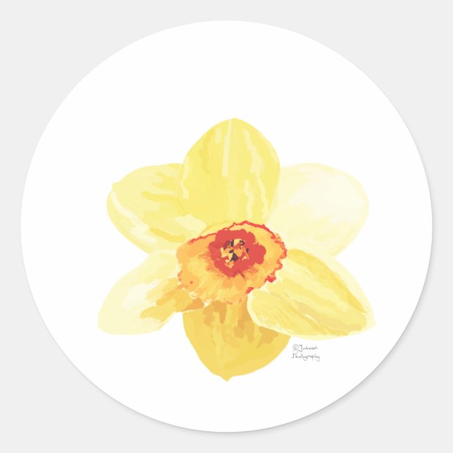 Adesivo Redondo Flor Daffodil Żonkila (Frente)