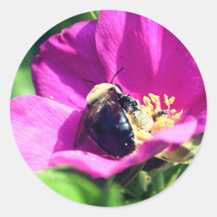 Adesivo Redondo Flor de Abelhas de Duplo Direito