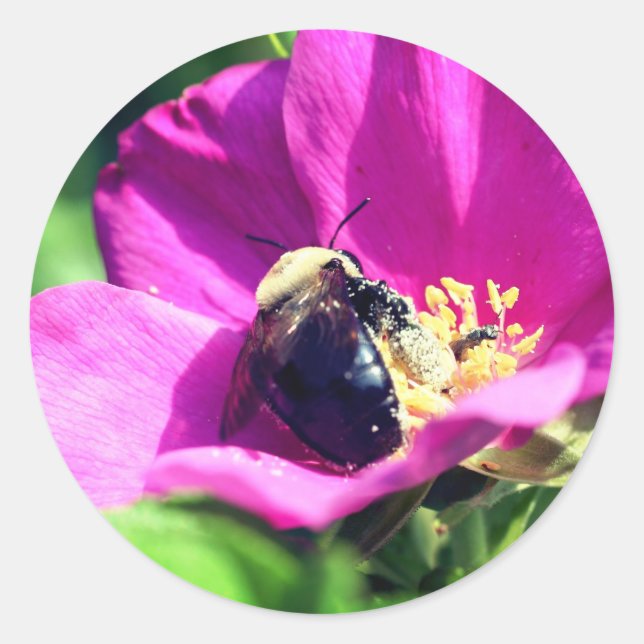 Adesivo Redondo Flor de Abelhas de Duplo Direito (Frente)