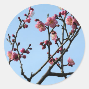 Adesivo Redondo Flor de Ameixa: Japão