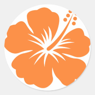 Adesivo Redondo Flor de hibisco laranja