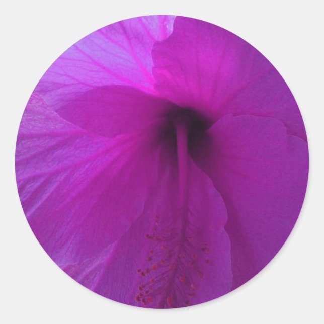 Adesivo Redondo Flor de Hibisco Roxo (Frente)