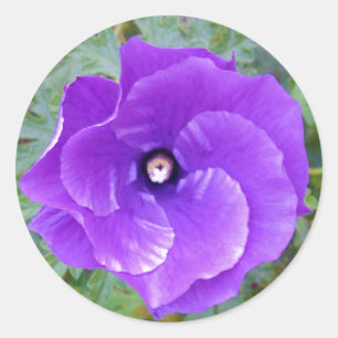 Adesivo Redondo Flor De Hibiscus Roxo Profundo,