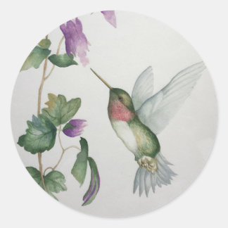 Adesivo Redondo Flor de Jardim do Bicicleta Redonda do Hummingbird