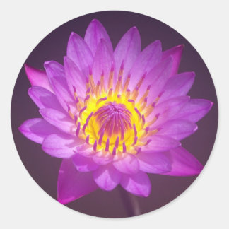 Adesivo Redondo Flor de Lotus Puro