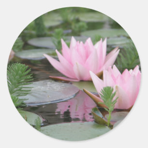 Adesivo Redondo Flor de Lotus/Waterlily
