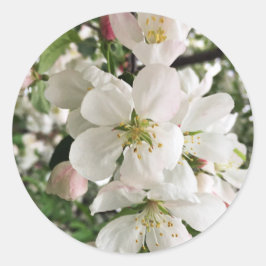 Adesivo Redondo Flor de maçã