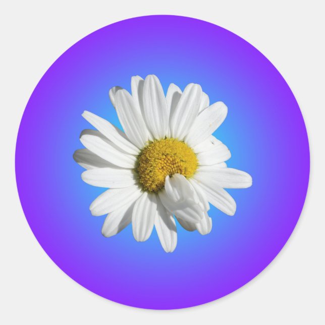 Adesivo Redondo Flor de Margarida Branca Gradiente Azul Roxo (Frente)