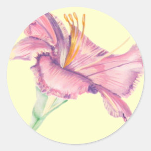 Adesivo Redondo Flor de Páscoa Lily Rosa