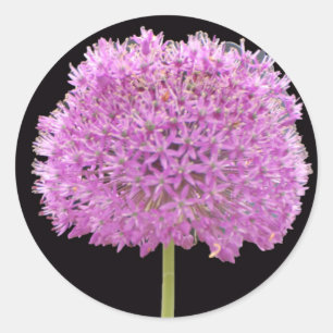 Adesivo Redondo Flor de Primavera de Verão Illium - Desenho Irland