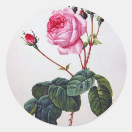Adesivo Redondo Flor de rosa, Pierre Joseph Redouté