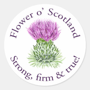 Adesivo Redondo Flor de Scotland. Forte, firme e verdadeiro!