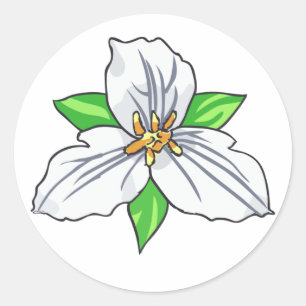 Adesivo Redondo Flor de trilho