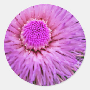 Adesivo Redondo Flor-do-mato-roxo