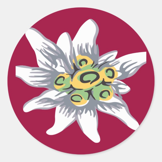 Adesivo Redondo Flor Edelweiss (Frente)