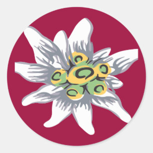 Adesivo Redondo Flor Edelweiss