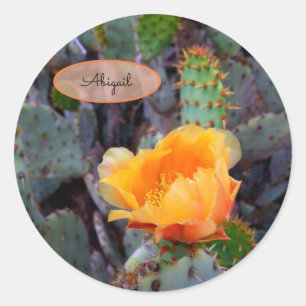Adesivo Redondo Flor Laranja Flor Flor Flor Flor Flor Opuntia De P