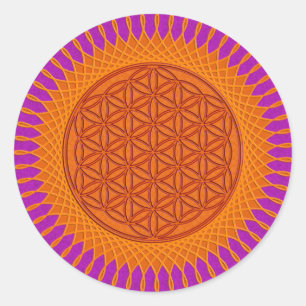 Adesivo Redondo Flor Live/splatter magenta ensolarado do design  