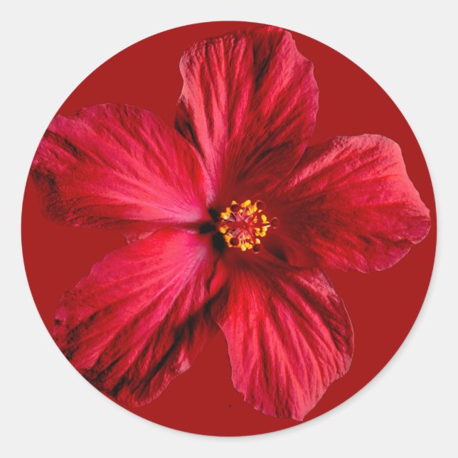 Adesivo Redondo Flor Red Hibiscus (Frente)