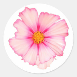 Adesivo Redondo Flor rosa