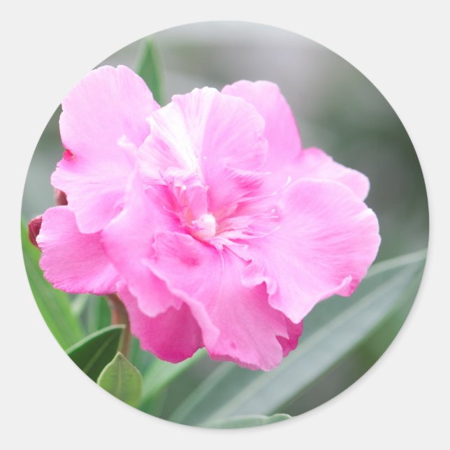 Adesivo Redondo Flor rosa pálido (Frente)