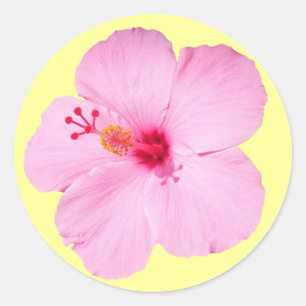 Adesivo Redondo Flor Tropical de Hibiscus Rosa