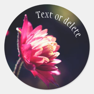 Adesivo Redondo Flor Vermelha Luz solar Personalizada