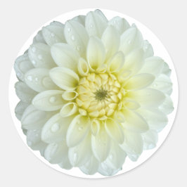 Adesivo Redondo Flor White Dahlia