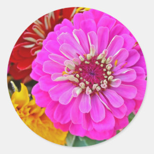 Adesivo Redondo Flor Zinnia