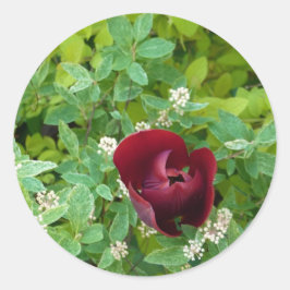 Adesivo Redondo Floral