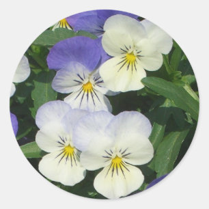 Adesivo Redondo Floral de Jardim de Panteras