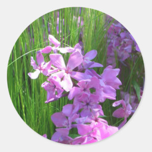 Adesivo Redondo Floral de Verão e Flox Rosa