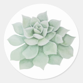 Adesivo Redondo Floral Mint Green Succulent Cactus
