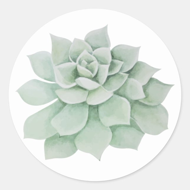 Adesivo Redondo Floral Mint Green Succulent Cactus (Frente)