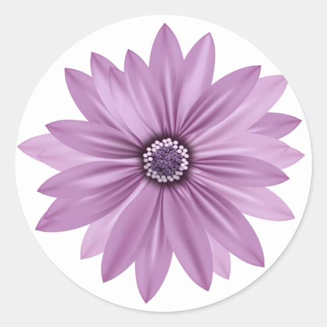 Adesivo Redondo Floral Obrigado Purple Daisy Flower - Lavanda (Frente)